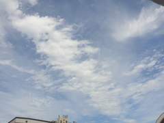 안개구름같은 구르밍