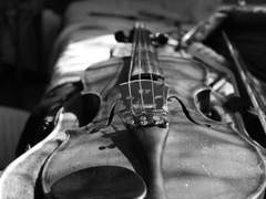 바이올린과 연장