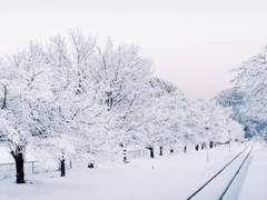 [리에후타] 여행기