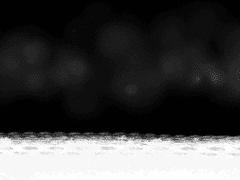 la strada che devo percorrere