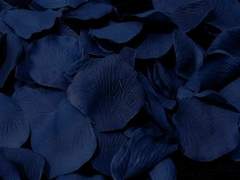 닿지 못할 편지