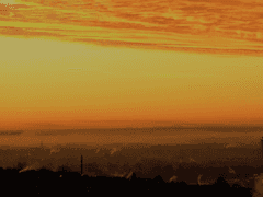 우린 멸망을 받아들이고 말았잖아.