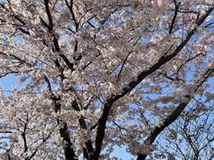 [신우태경] 너는 왜