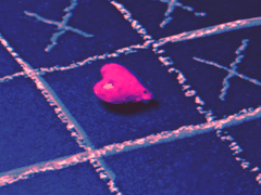 로요커 공개프로필