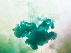 [카나곰삐] 푸른 장미의 꽃말은 불가능