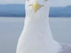 아이 예쁘다 3편의 행방에 대해