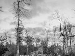 Do not Open This [Redacted]