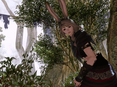 [In Pursuit of Knowledge]