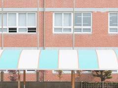 [GL] 꽃과 시선과 나비