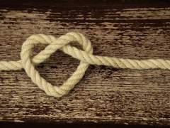 유일적 참견 시점