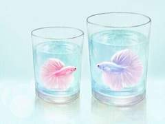 Ping-pong,Ping-pong(上)