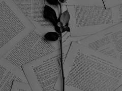 사흘간의 기록.