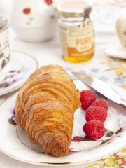 맛있는 센티넬 역하렘 'w'