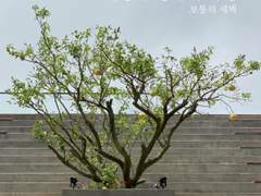 사랑과 성숙의 과정