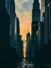 내가 키운 S급들