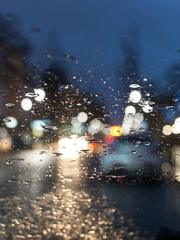 비를 닮은 것들은