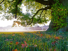 [주원동식] 나이테 07 (完)