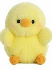 나의 작은 우주에게