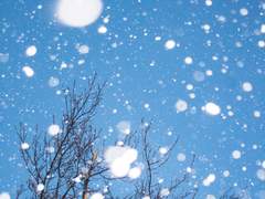 [파판14] 2회차 플레이는 좋아하십니까?