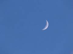 [타마소우] 먼 훗날의 기억을 우리는 기약하며