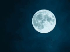 [VM]톱배우 김태형 * 이혼남 박대리 썰 18~20(Clean ver)