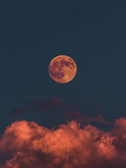 악역에겐 서사는 필요없다