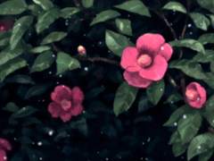 친애하는 당신에게