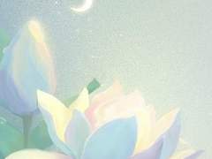 ✦ 영 연 :: p r o f i l e.