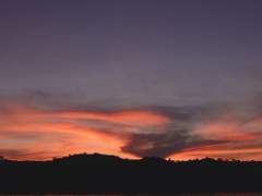 푸른 새벽과 붉은 피.