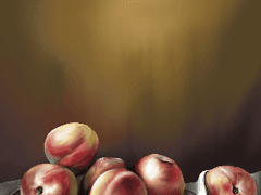 엄마가 영어를 배우기 시작했다