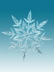 추억이 머무르는 자리에서