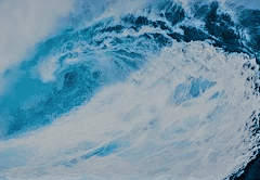 그럼에도 불구하고