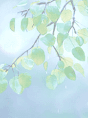 Code Name, Kissher Oubliersci