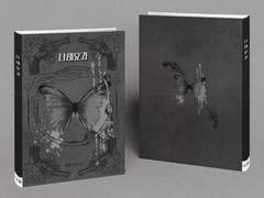 개인지 + 내지. 「나비 효과」