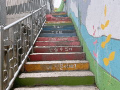 제목:꽃 피지 않아도 괜찮아