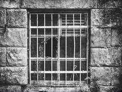 왜 설립자는 이해하지 못했을까.