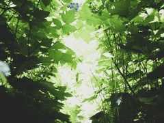 [화산귀환] 장문사형, 세상은 생각보다 넓습니다.