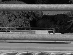 나 작은 생채기 신경 쓰느라,