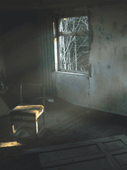 기타등등 여러가지동동