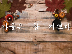 가을은 참 예쁘다