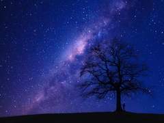 달을 보고 너를 기도하게 해