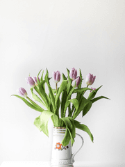 섭남파업 부흥회