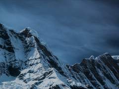 [메이플] Hypoxis Aurea 上