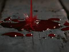 뺑소니당한쇼요