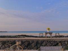 6일차. 과거, 미래 둘 중 하나로 시간 여행을 할 수 있다면