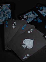 [EXO] 인체하우스