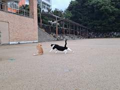 학교냐아아아앙!