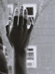 [쿠키런 킹덤/쿠킹덤] 한낮의 달