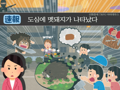 [신화창세RPG 아마데우스 시나리오] 도심에 멧돼지가 나타났다