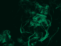 신도 아야세 / XX / 302호